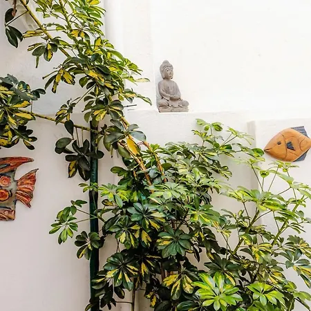 Casablanca - T3 Apartamento