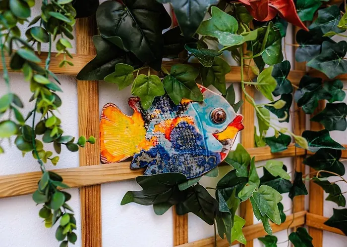 Casablanca - T3 דירה נאזרה