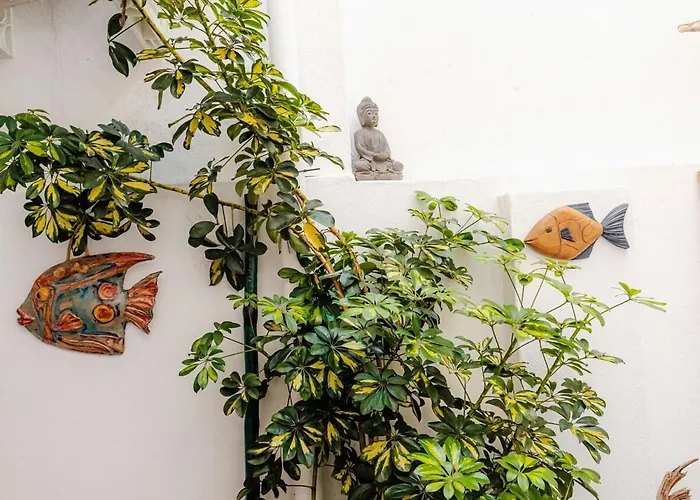 Casablanca - T3 דירה